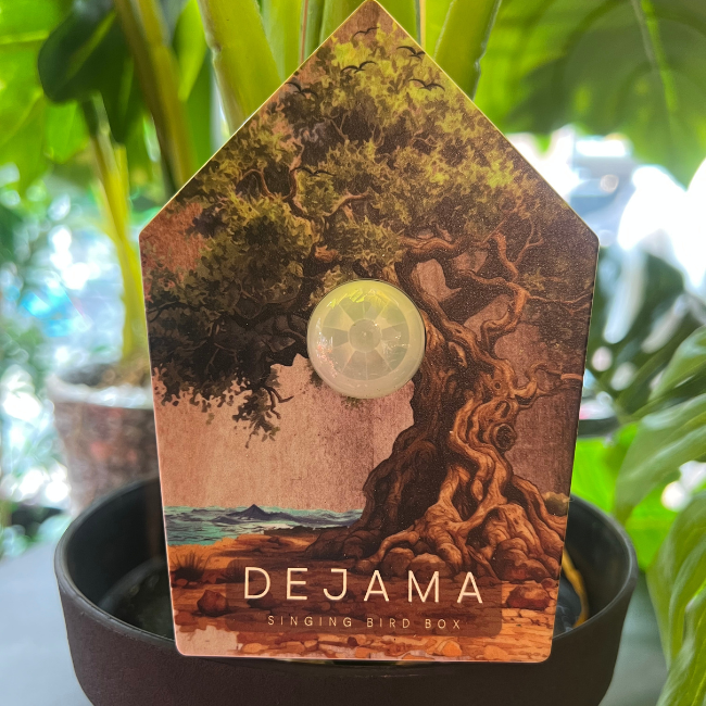 Singing Bird Box | Dejama - Afbeelding 3
