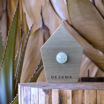 Singing Bird Box | Dejama